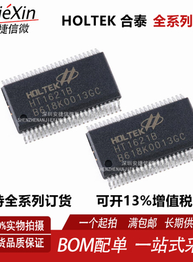 原装全新 HT1621B 贴片 SSOP-48 LCD驱动器/RAM映射/液晶芯片
