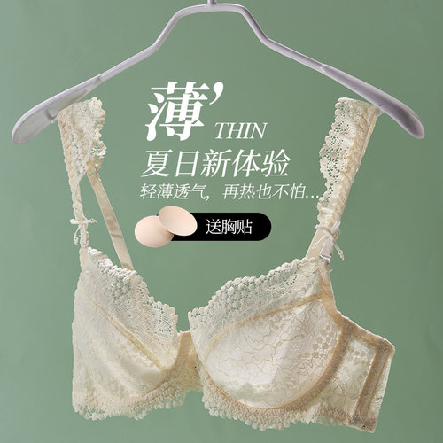 夏娃的诱惑法式蕾丝夏季薄款文胸
