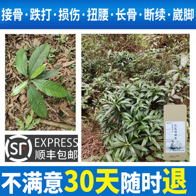 跌打接骨裂恢复膏骨愈合愈伤筋动骨跌打损伤崴脚裸扭伤黑玉断续膏