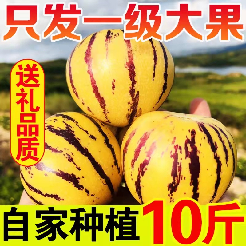 石林人参果园果坏果包赔