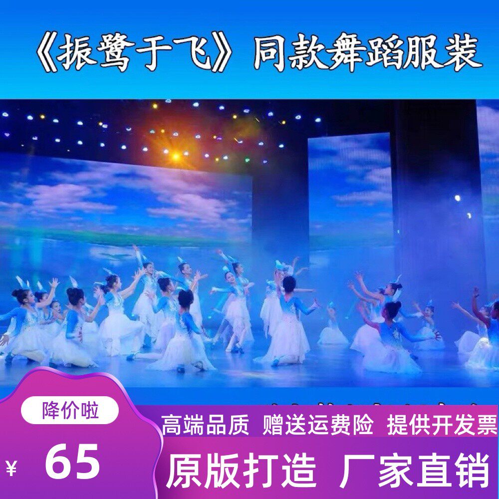 振鹭于飞舞蹈服装六一芭蕾舞表演服舞剧女子群舞新款纱裙演出服装