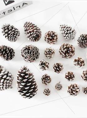 Christmas tree pine cones and dried flowers DIY material kit