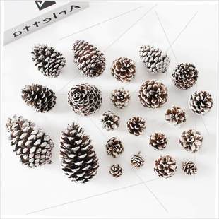 Christmas tree pine cones and dried flowers DIY material kit