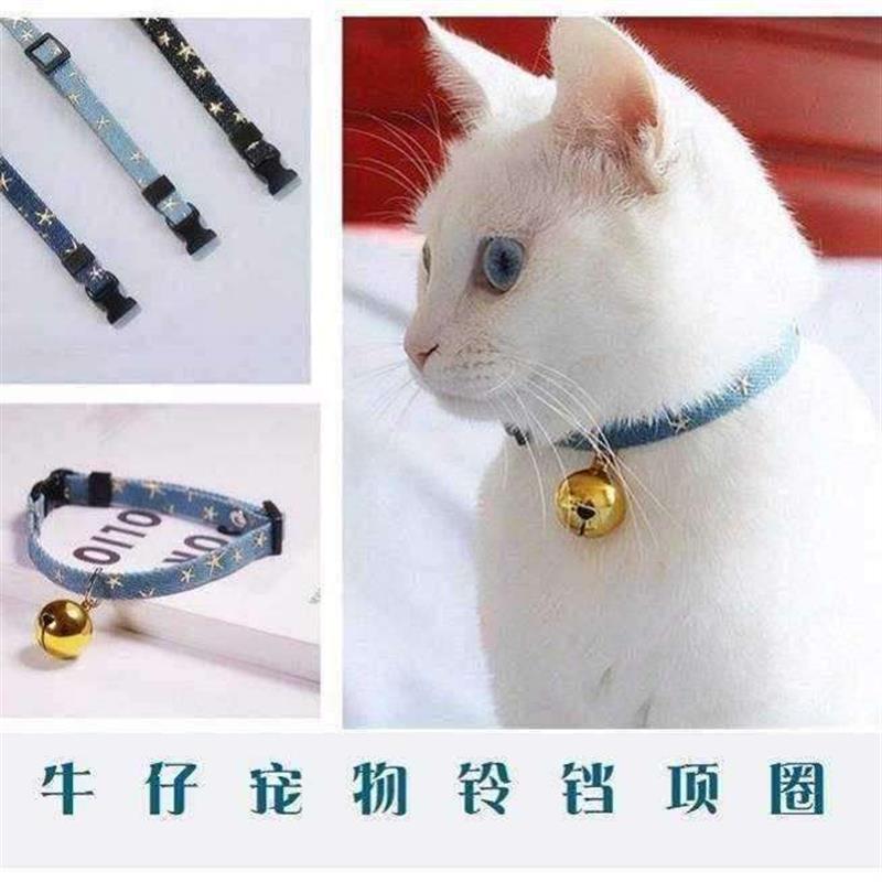 newPetdogcollarbki项