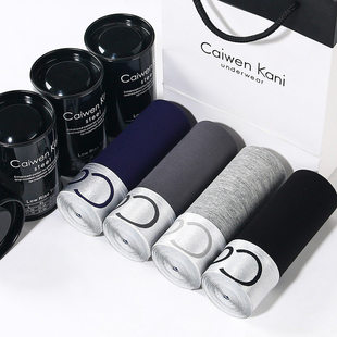 men underwear cotton boxers men briefs shorts underpants