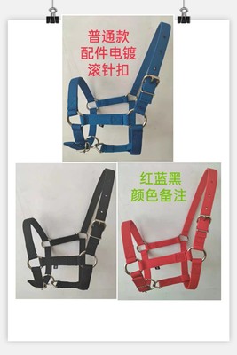 迦南马笼头全套马具马术用品马龙套马术调教牵马遛马拴马套