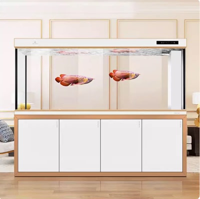 Cleair可丽爱CCD大型超白玻璃金龙鱼缸公司家用底滤专业水族箱