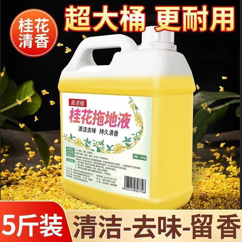 桂花木地板清洁剂拖地专用清洁液瓷砖地面清洁花露水浓缩清香去污,洗护清洁剂/卫生巾/纸/香薰,多用途清洁剂,淘宝优惠券,粉丝福利购,淘宝优惠卷