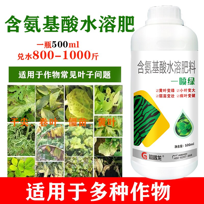 管稼龙黄叶小叶弱苗一喷绿氨基酸叶面肥