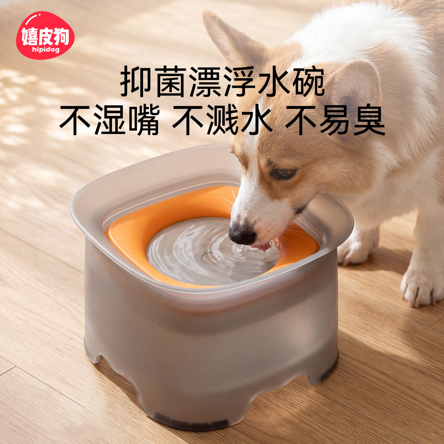 跨境狗碗防溅抗菌悬浮水碗喝水器