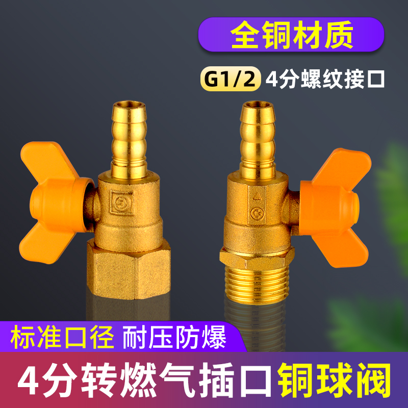 一靓天然气热水器燃气连接管接头