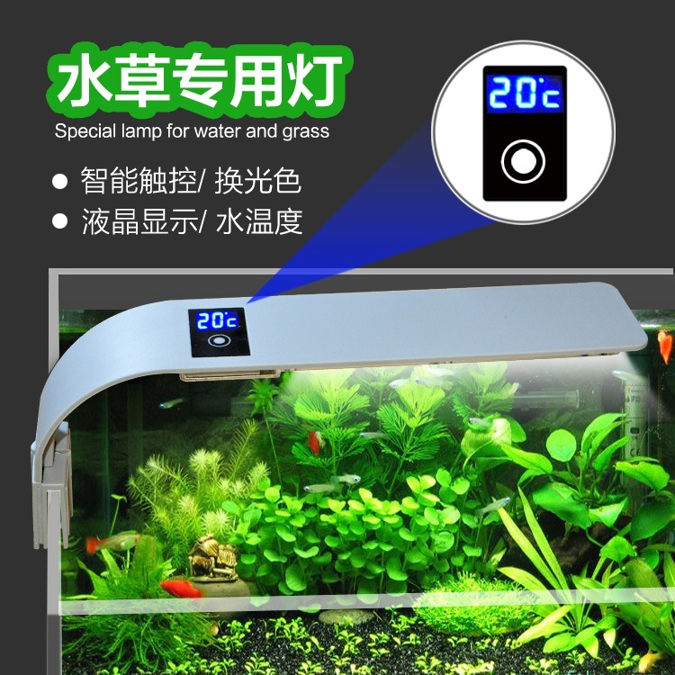 养鱼灯具品牌精品汇聚 价格大全移动版 最宠网