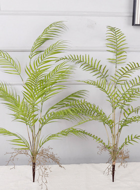 仿真蕨类绿植植物把束室