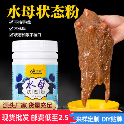 【水母粉状态粉】现货水拉饵昆布丝野钓鱼饵红虫伴侣网状增粘剂饵