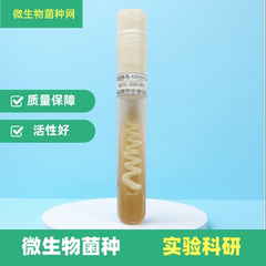 微生物菌种定制二代斜面实验菌株ATCC/CMCC药典甘油瓷珠培养基