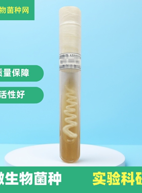 微生物菌种定制二代斜面实验菌株ATCC/CMCC药典甘油瓷珠培养基