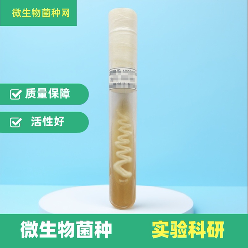 微生物菌种定制二代斜面实验菌株ATCC/CMCC药典甘油瓷珠培养基
