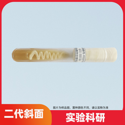 二代斜面菌种定制ATCC菌株CMCC冻干粉甘油磁珠微生物实验学校