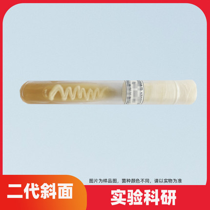 二代斜面菌种定制ATCC菌株CMCC冻干粉甘油磁珠微生物实验学校