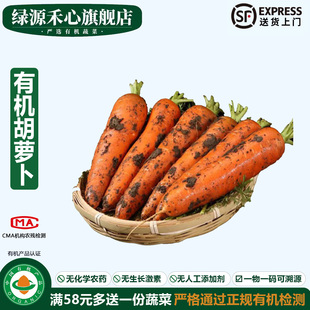 有机胡萝卜新鲜现挖带泥红萝卜脆甜生吃炒榨汁沙拉健康无农残蔬菜