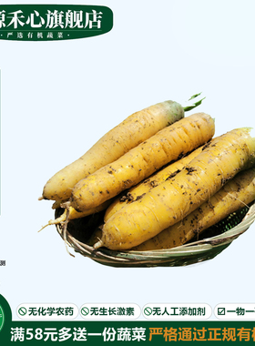 有机黄萝卜新鲜采摘带泥黄色胡萝卜炖汤手抓饭当季健康无农残蔬菜