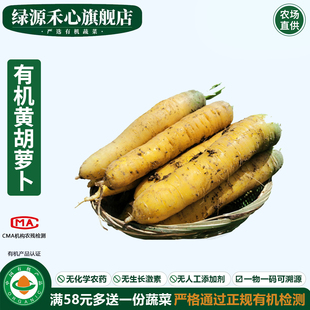 有机黄萝卜新鲜采摘带泥黄色胡萝卜炖汤手抓饭当季健康无农残蔬菜
