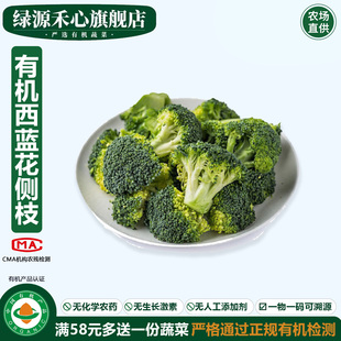 有机西兰花侧枝非整颗新鲜小西蓝花轻食沙拉西餐菜健康无农残蔬菜