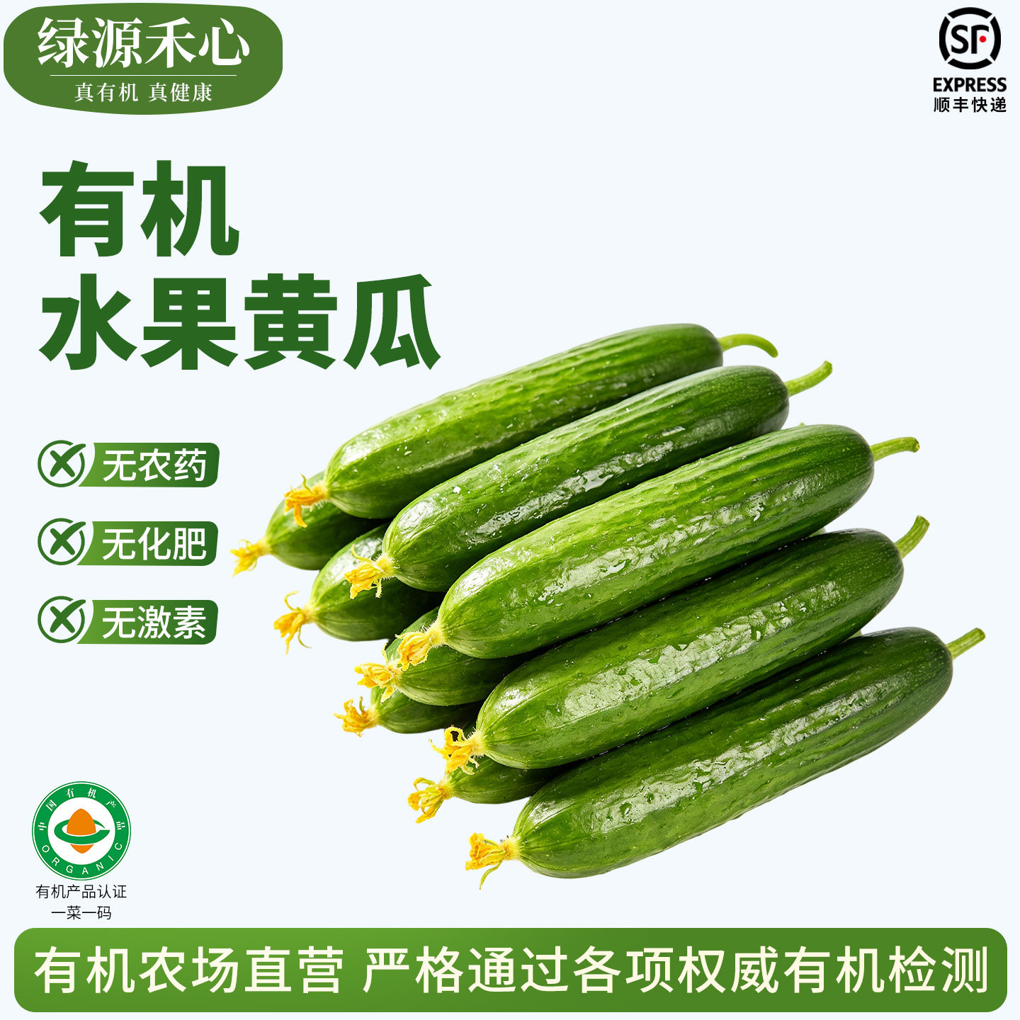 有机水果黄瓜新鲜摘农家无刺小黄瓜生吃水果小青瓜健康无农残蔬菜