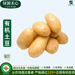 有机土豆农家新鲜山东黄心马铃薯洋芋5斤炒菜炖煮健康无农残蔬菜