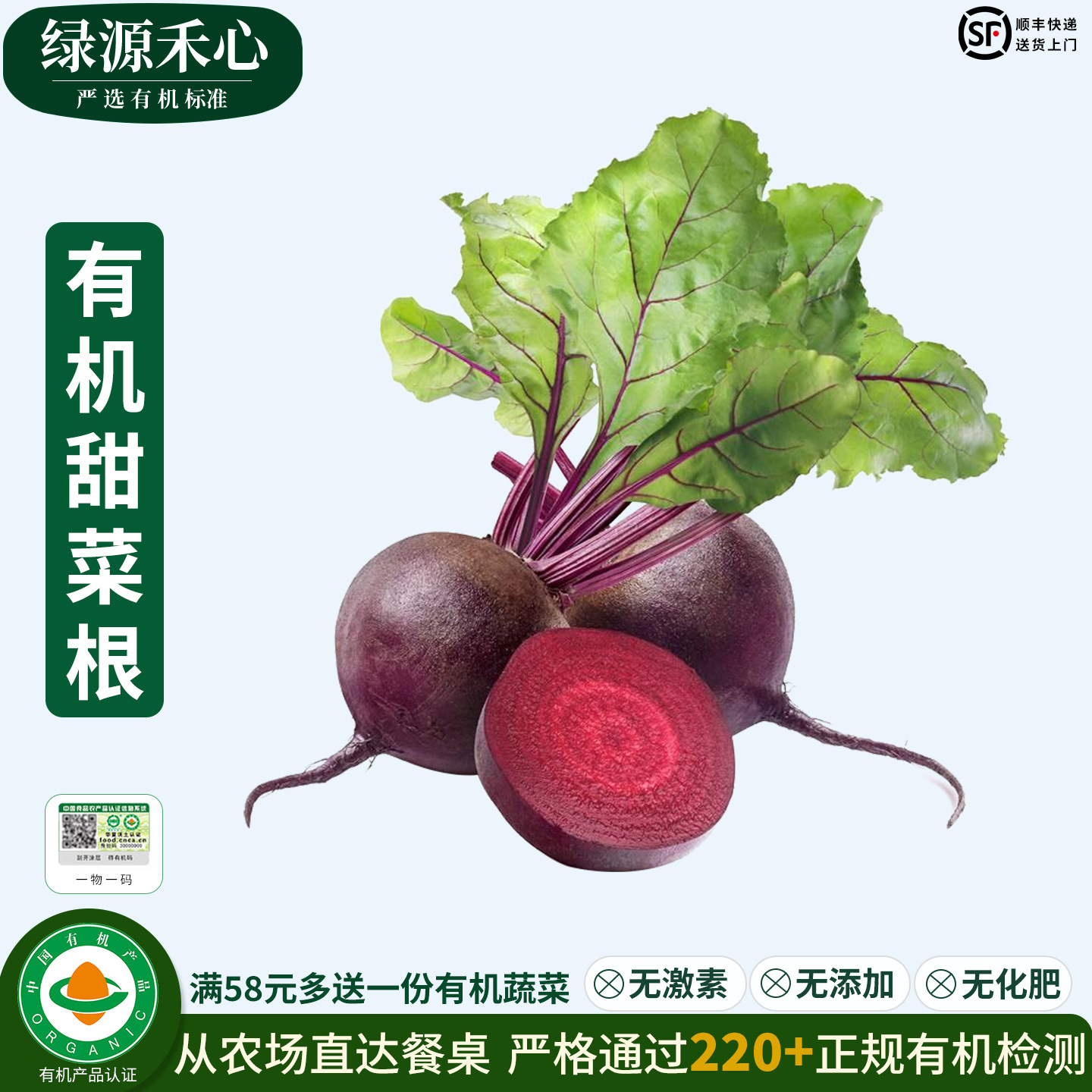 有机甜菜根新鲜现挖红菜头甜菜头生吃榨汁天然食疗健康无农残蔬菜