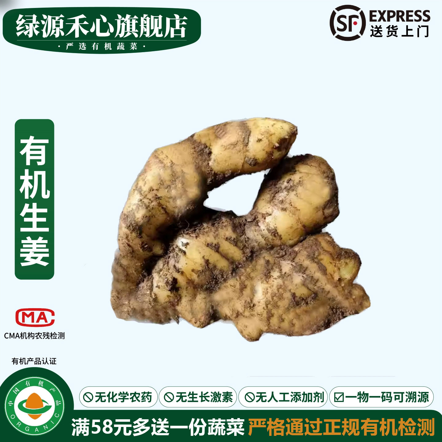 有机生姜新鲜正宗山东大姜老姜风干黄姜月子姜农家健康无农残蔬菜,水产肉类/新鲜蔬果/熟食,生姜/南姜,淘宝优惠券,粉丝福利购,淘宝优惠卷