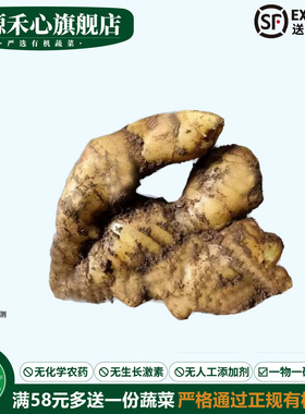 有机生姜新鲜正宗山东大姜老姜风干黄姜月子姜农家健康无农残蔬菜