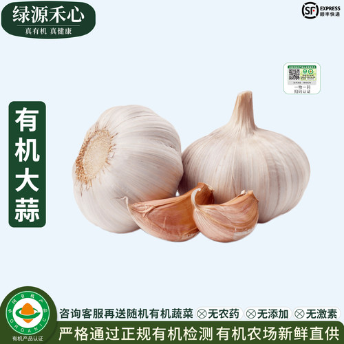 有机大蒜农场新鲜干蒜头白皮大蒜