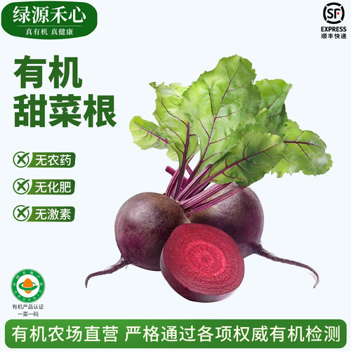 有机认证甜菜根农场新鲜红甜菜头