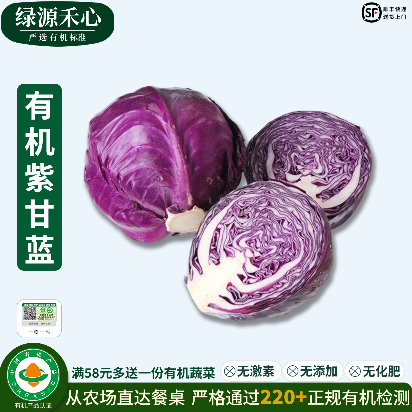 有机紫甘蓝新鲜紫包菜生吃菜卷心菜紫椰菜轻食沙拉健康无农残蔬菜