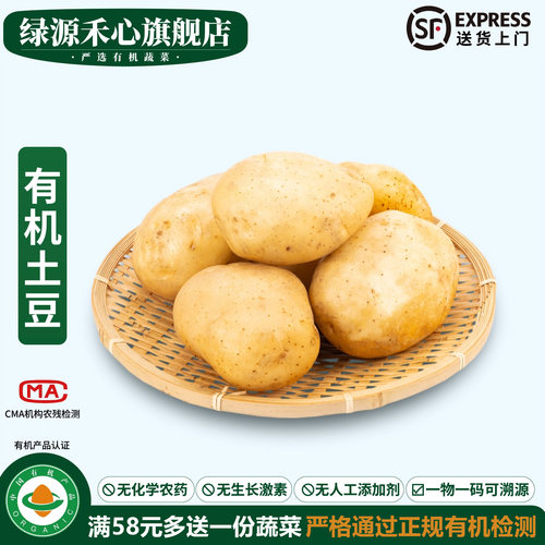 有机土豆新鲜挖山东黄心大马铃薯