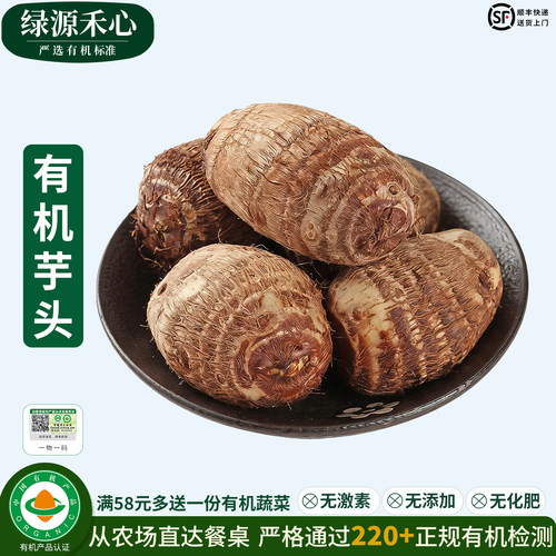 有机芋头农场新鲜山东牛奶毛芋头