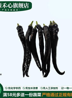 有机紫辣椒新鲜紫色螺丝椒尖椒香辣紫黑色辣椒中辣健康无农残蔬菜