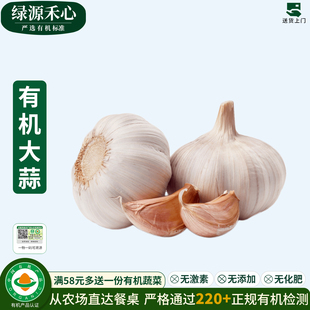 有机大蒜新鲜干蒜头山东白皮大蒜5斤10斤新干大蒜健康无农残蔬菜