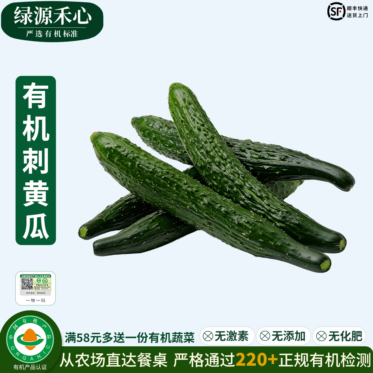 有机刺黄瓜新鲜摘带刺黄瓜绿心青绿长黄瓜生吃凉拌无农残健康蔬菜