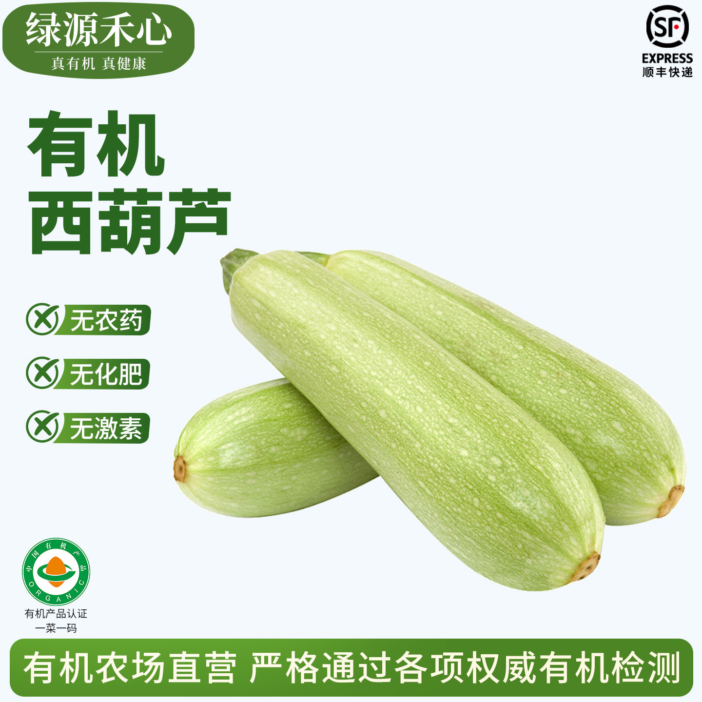 有机西葫芦新鲜采摘嫩茭瓜角瓜白瓜炒菜农场当季菜健康无农残蔬菜