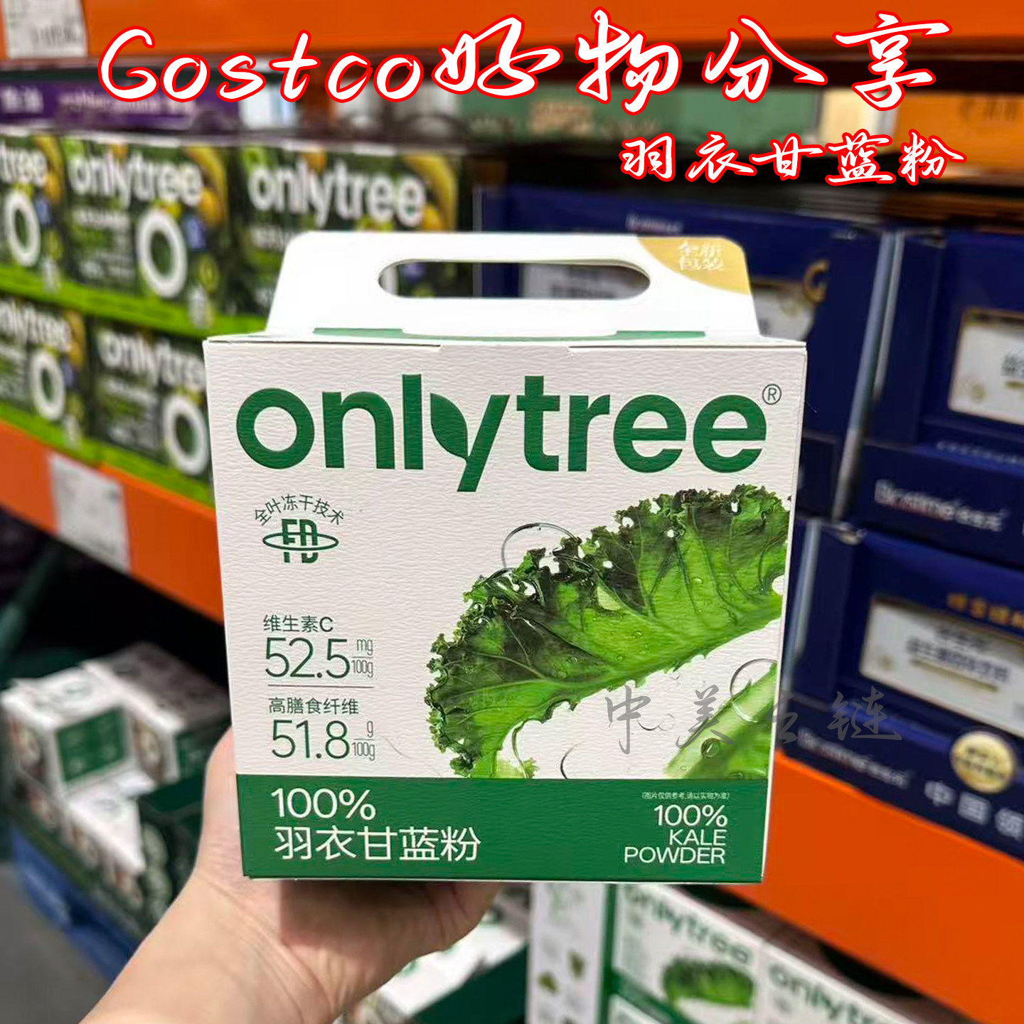 上海Costco onlytree羽衣甘蓝粉100%纯粉蔬菜粉轻食高纤维无添加