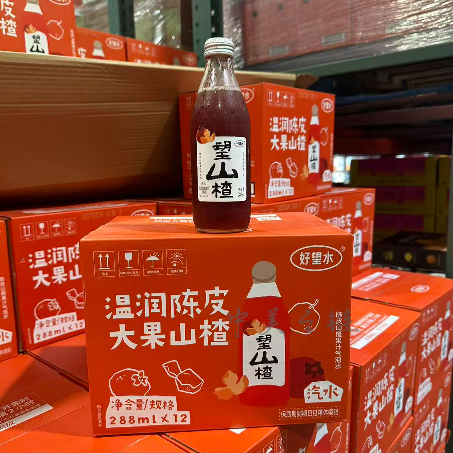 上海Costco好望水望山楂陈皮山楂果汁气泡水果味休闲饮料温润陈皮