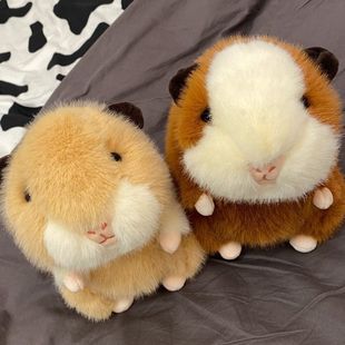 可爱玩偶豚鼠公仔布娃娃荷兰猪毛绒玩具儿童玩偶天竺鼠生日礼物女