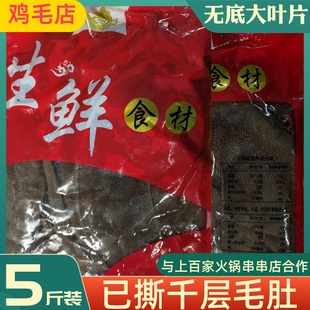 掌柜推薦 毛肚5斤大葉片爽脆百葉火鍋新鮮冷凍牛毛肚商用批發(fā)