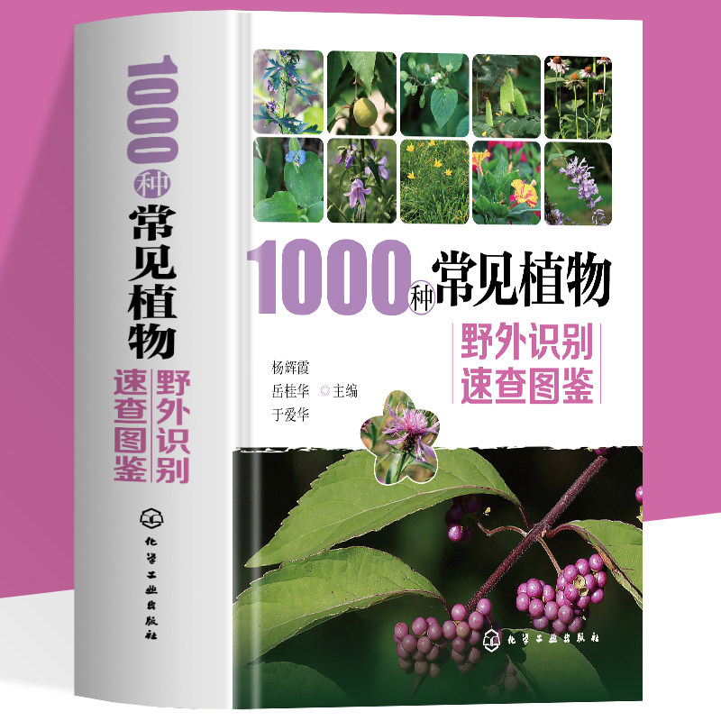 1000种常见植物野外识别速查图鉴 图解中草药大全 家庭书籍野外识别原植物鉴别图册中国常用手册 图识别与应用图典图谱