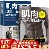 真人分步图示热爱 全2册 肌肉健美训练指南 肌肉力量训练解剖图谱 健身入门级人士专业指导书减肥瘦身书 肌肉健美训练图解