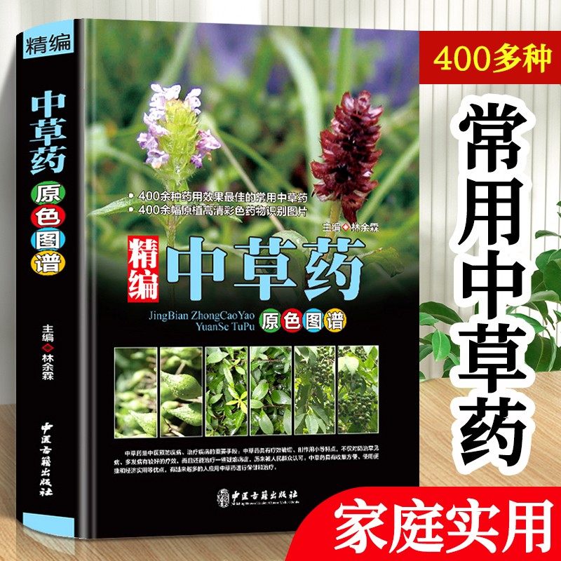 精编中国药典中药原色图谱 中草药图鉴图谱 中国药材图鉴 中医学书籍中药材大全 300余种常用中草药识别应用原色图片 中医学书籍