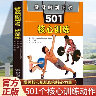 增强核心肌肉和核心力量 501个动作 整个身体 正版 肌肉解剖图 核心训练 运动能力以及可锻炼 健身书籍 健身解刨图解501