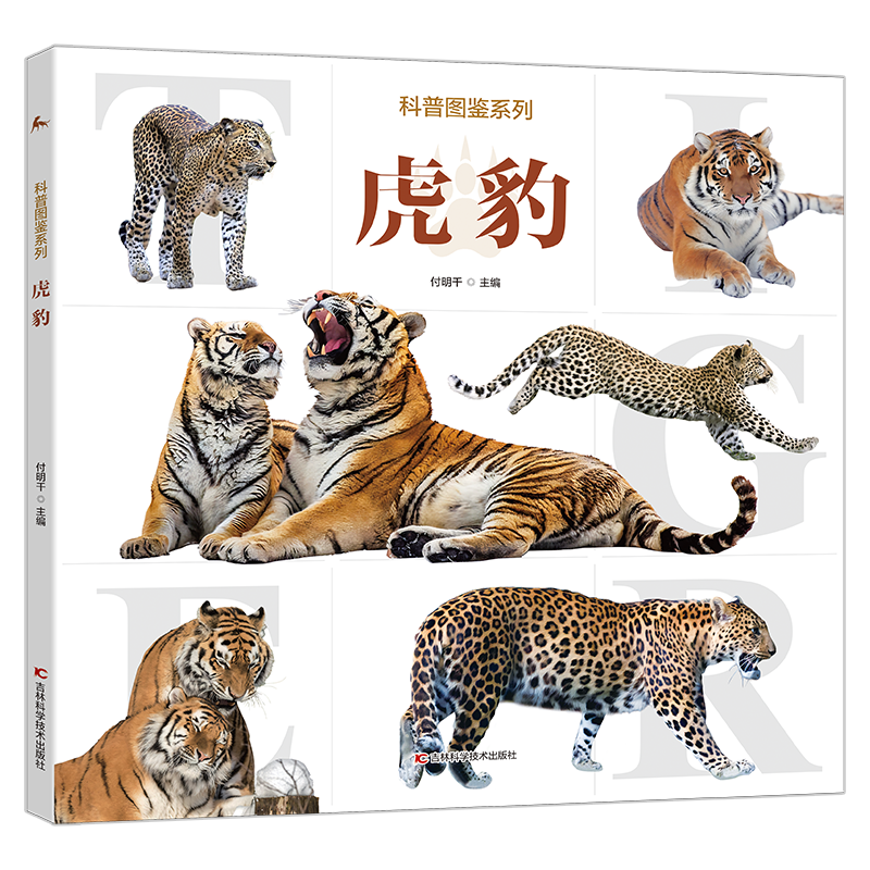 虎豹科普图鉴系列趣味少儿百科全书全套大百科小学生科普百科幼儿绘本3–6–12岁阅读书籍豹子老虎动物世界启蒙认知